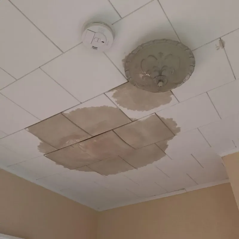 Ceiling Water Damage Repair in Ogden, NC