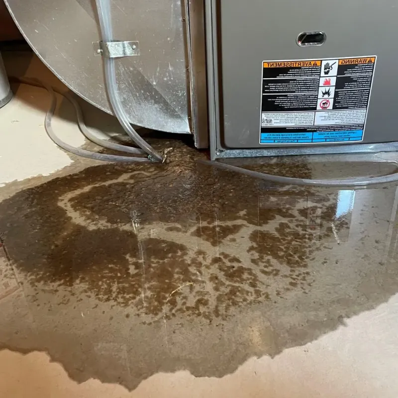Pipe Burst and Leak Restoration in Ogden, NC