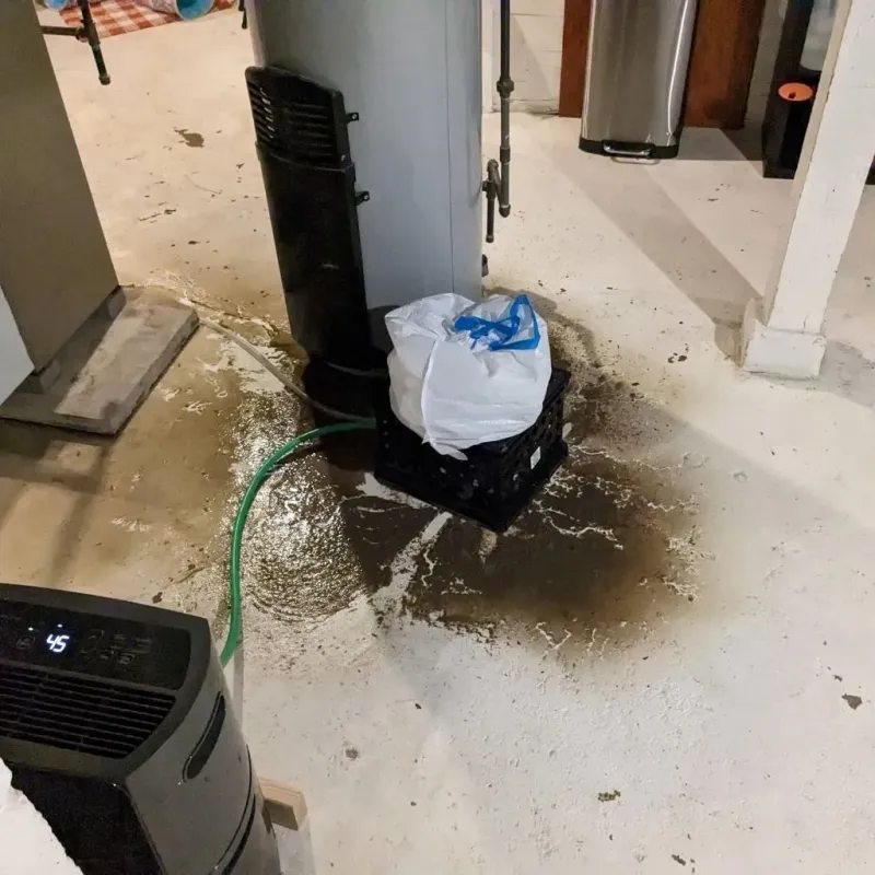 Sewage Backup Cleanup Service in Ogden, NC